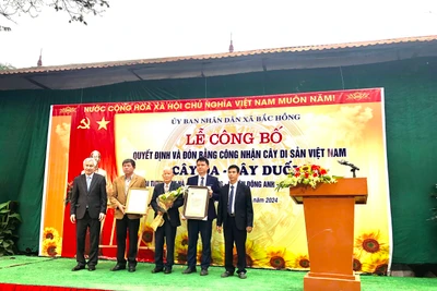 Hội Bảo vệ thiên nhiên và Môi trường Việt Nam trao Quyết định công nhận cây di sản Việt Nam đối với cây đa, cây duối tại thôn Thụy Hà.