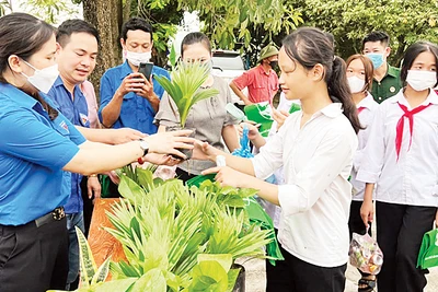 Học sinh đổi rác lấy cây xanh.