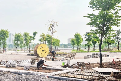 Các đơn vị đang thi công những hạng mục cuối cùng Công viên Khu đô thị Việt Hưng (quận Long Biên, Hà Nội). 