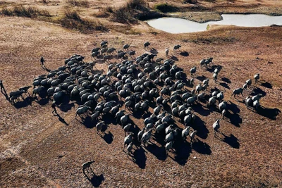 An ninh nguồn nước – Bài toán sống còn 