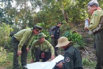 Lực lượng kiểm lâm tỉnh Quảng Ngãi kiểm tra bảo vệ rừng.