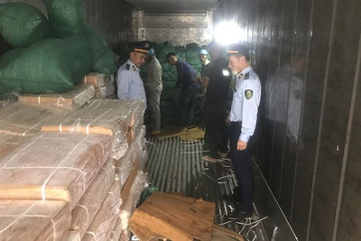 Lực lượng chức năng tỉnh Lạng Sơn kiểm tra, thu giữ gần 10 tấn sản phẩm thịt trâu đông lạnh không rõ nguồn gốc xuất xứ. 