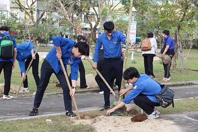 Trồng cây xanh tại Cung thiếu nhi.