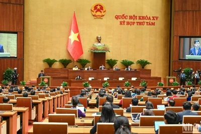 Kỳ họp thứ 8, Quốc hội khóa XV. (Ảnh minh họa: DUY LINH)