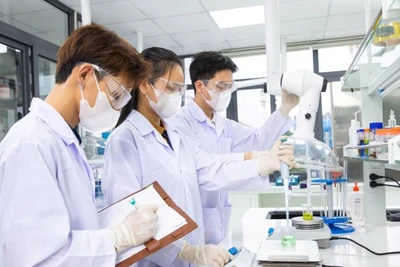 Sinh viên Trường đại học Phenikaa thực hành nghiên cứu thí nghiệm. (Ảnh: THƠM VŨ)