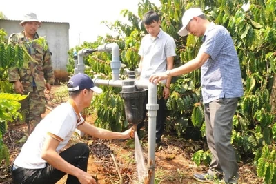 Mô hình tưới tiết kiệm nước kết hợp bón phân qua hệ thống tưới nước đang được nhân rộng trên địa bàn Đắk Nông.