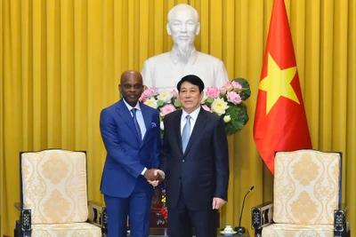 Chủ tịch nước Lương Cường tiếp Bộ trưởng Ngoại giao, Hội nhập khu vực và Kiều dân Cộng hòa Togo.