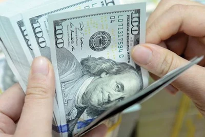 Kiều hối chuyển về Việt Nam là "nguồn lực vàng" để phát triển kinh tế-xã hội. (Ảnh tư liệu)