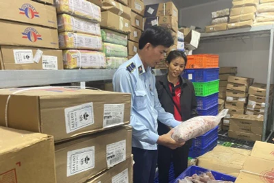 Lực lượng Quản lý thị trường kiểm tra kho chứa trữ thực phẩm đông lạnh tại thành phố Thủ Đức. (Ảnh: Cục Quản lý thị trường Thành phố Hồ Chí Minh)