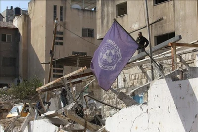 Văn phòng của Cơ quan Cứu trợ và Việc làm của LHQ dành cho người tị nạn Palestine (UNRWA) bị phá hủy tại trại Nur Shams, phía đông thành phố Tulkarm, Bờ Tây. (Ảnh tư liệu - minh họa: THX/TTXVN)