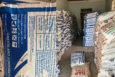 Số phân bón giả do Công ty Nông nghiệp Sài Gòn Xanh sản xuất bị Công an Đắk Nông thu giữ.