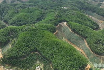 Quỹ Bảo vệ và Phát triển rừng tỉnh Đắk Nông sử dụng phương tiện Máy bay không người lái để theo dõi, quản lý dữ liệu về diện tích rừng chi trả DVMTR và trồng rừng thay thế