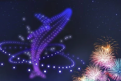 Trình diễn ánh sáng bằng thiết bị bay không người lái. Ảnh minh hoạ.