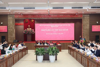 Ban Chấp hành Đảng bộ thành phố Hà Nội biểu quyết thông qua chương trình kỳ họp thứ 20. Ảnh: Viết Thành.