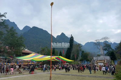 Thi tung còn, trúng được thưởng lì xì.