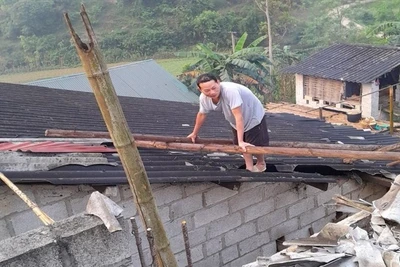 Người dân xã Thắng Lợi, huyện Hạ Lang, tỉnh Cao Bằng lợp lại mái nhà, ổn định cuộc sống.