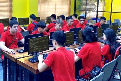 Học viên Aptech được hướng dẫn làm dự án thực tế.