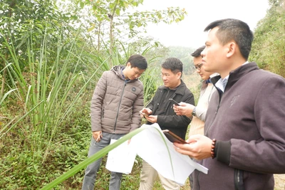 Các đơn vị rà soát thực địa để bố trí các vị trí đổ đất, đá thừa trong thi công phục vụ dự án. Ảnh: PHƯƠNG THẢO.