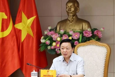 Phó Thủ tướng Trần Hồng Hà chủ trì cuộc họp chiều 13/5. (Ảnh: TTXVN)