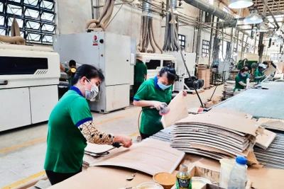 Sản xuất tại Công ty Ván ép cơ khí xây dựng Nhật Nam, thị xã Bến Cát, tỉnh Bình Dương. (Ảnh TIỂU MY) 