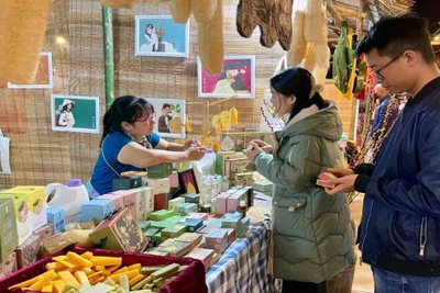 Đa dạng các sản phẩm OCOP chiết xuất từ các cây thảo dược tại xã Gia Sinh, huyện Gia Viễn, tỉnh Ninh Bình. (Ảnh Yến Trinh) 