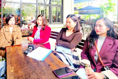 Các đội viên Đề án 500 trí thức trẻ tại Quảng Bình chia sẻ tâm tư trước nguy cơ không còn chỗ làm sau đợt sắp xếp, tinh gọn bộ máy. 