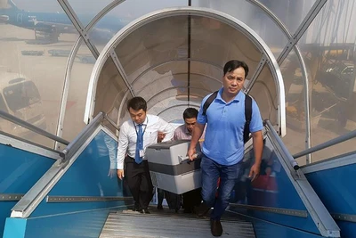 Hành trình mang sứ mệnh "hồi sinh"