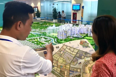 Trao đổi thông tin về một dự án bất động sản. 