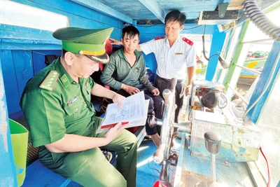 Cán bộ Văn phòng đại diện kiểm soát nghề cá tại cảng cá Phan Thiết kiểm tra tàu cá trước khi ra khơi. 