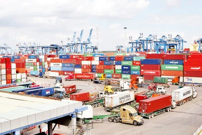 Bốc dỡ hàng hóa ở Cảng Cát Lái, thành phố Thủ Đức. 