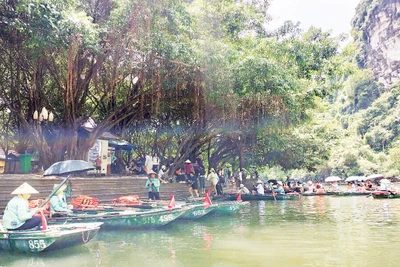 Bến thuyền Tràng An. 