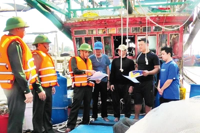 Bộ đội Biên phòng tỉnh Quảng Bình tuyên truyền cho ngư dân các quy định về chống khai thác IUU. (Ảnh HƯƠNG GIANG)