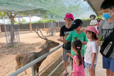 Khách du lịch tham quan trang trại Tiên Tiến Farm & Zoo ở Ninh Thuận. 