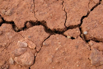 Mặt đất khô nứt nẻ. Ảnh: Rob Pongsajapan/Flickr.