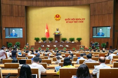 Nhà nước pháp quyền là nhà nước được tổ chức và hoạt động trong khung khổ pháp luật, đó là hệ thống pháp luật dân chủ, phản ánh công lý, phù hợp với quyền tự nhiên của con người. 