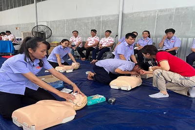 Các nhân viên y tế của Trung tâm Dịch vụ Nhân đạo tập huấn sơ cứu cho người lao động Công ty cổ phần Lương thực-Thực phẩm Colusa-Miliket 