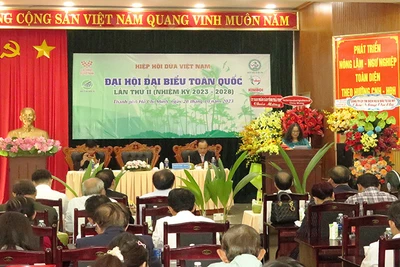 Quang cảnh đại hội