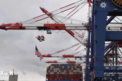 Tàu container cập cảng Long Beach ở California, Mỹ. (Ảnh: THX/TTXVN)