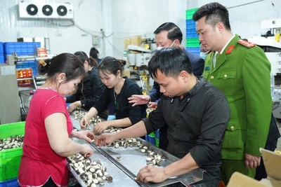 Các cơ quan chức năng kiểm tra công tác bảo đảm an toàn thực phẩm trên địa bàn thành phố Hà Nội.