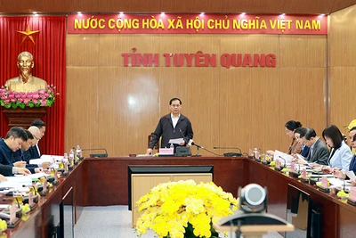 Phó Thủ tướng Chính phủ, Bộ trưởng Ngoại giao Bùi Thanh Sơn chủ trì buổi làm việc.