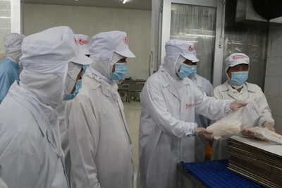 Đoàn công tác của Bộ Công thương thăm và làm việc với Công ty Cổ phần Thủy sản Gò Đàng.