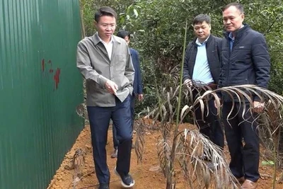 Giám đốc Công an tỉnh Phú Thọ Nguyễn Minh Tuấn kiểm tra tại hiện trường.