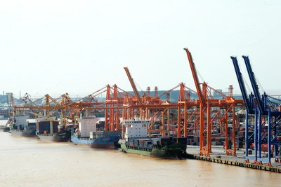Cảng Đình Vũ. Ảnh: TRẦN HẢI