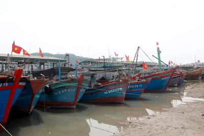 [Video] Hướng dẫn kỹ năng phòng tránh bão