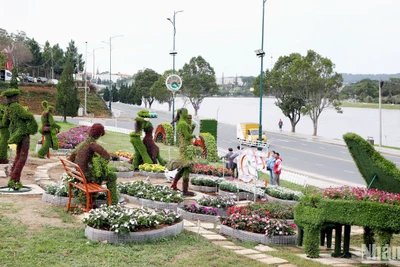 Không gian hoa gắn với thành phố sáng tạo âm nhạc bên hồ Xuân Hương, thành phố Đà Lạt.