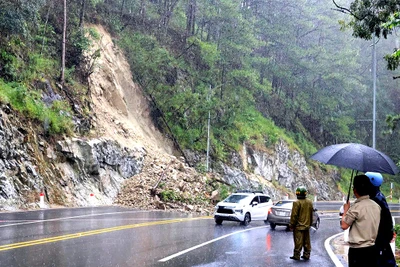 Đoạn ta-luy có độ dốc lớn bị sạt trượt, kéo theo lượng đất đá và một số cây thông nhỏ xuống đường đèo Prenn.