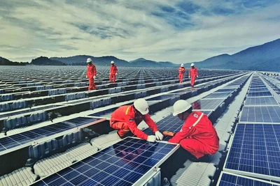 Công nhân Công ty Truyền tải điện 3 phối hợp quản lý, vận hành hệ thống điện mặt trời tại Lâm Đồng.