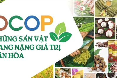 Chương trình Mỗi xã một sản phẩm