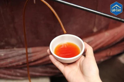 Mặn mòi hương vị biển khơi