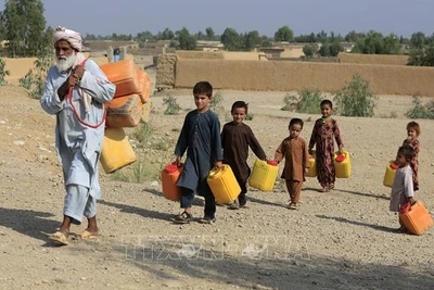 Ảnh minh họa. (Nguồn: AFP/TTXVN)